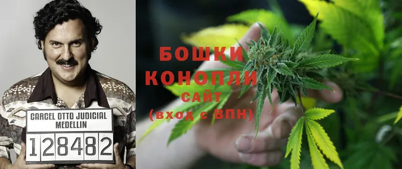 Конопля SATIVA & INDICA  как найти   Анапа 